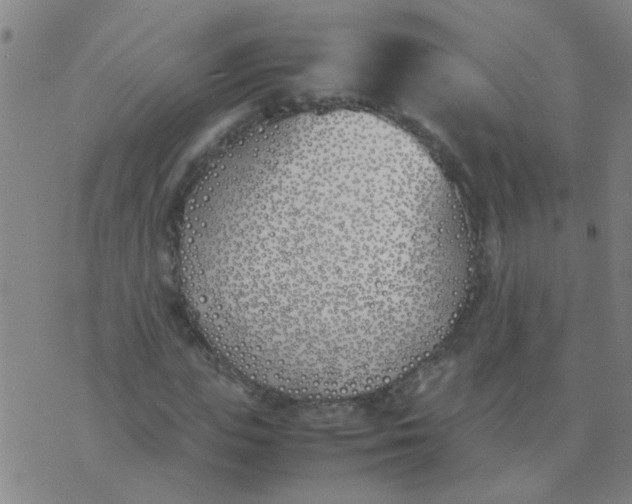 X0000074310823200609081940