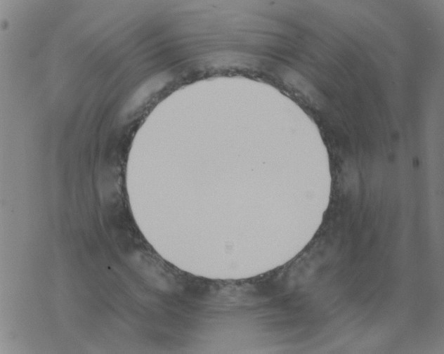 X0000074310824200609081940