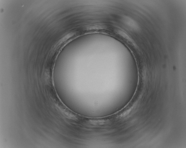 X0000074310825200609081940