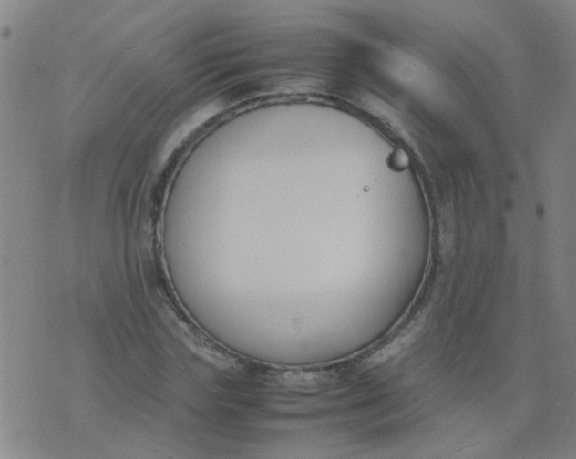 X0000074310827200609081940