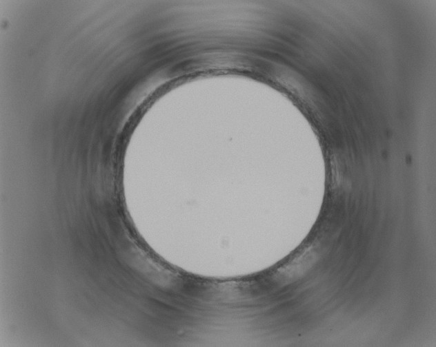 X0000074310828200609081940