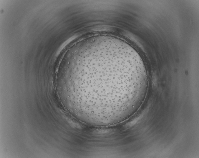 X0000074310829200609081940