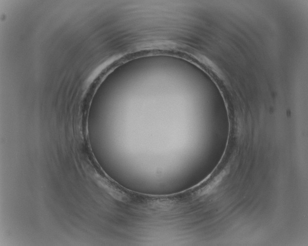 X0000074310830200609081940