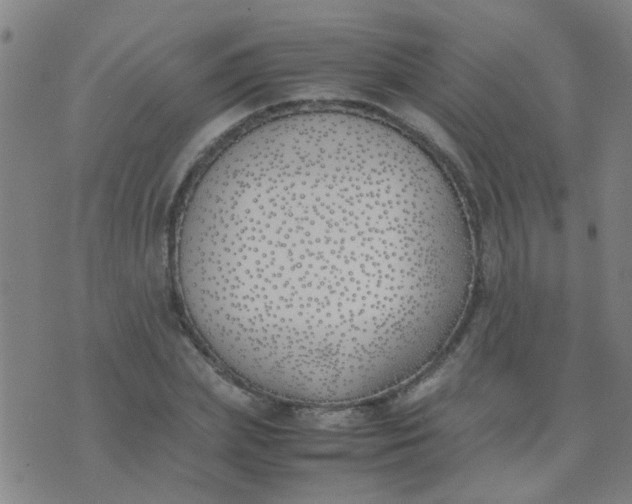 X0000074310831200609081940