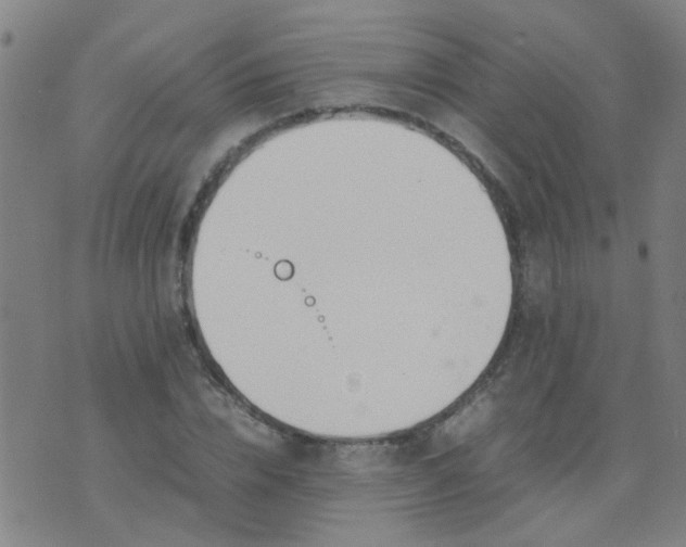 X0000074310832200609081940