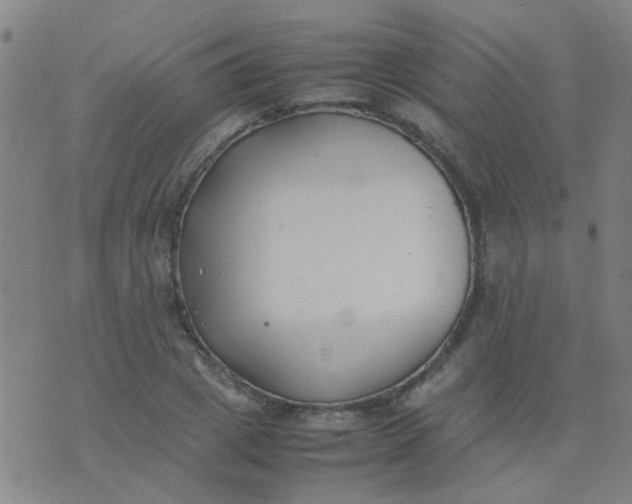 X0000074310833200609081940