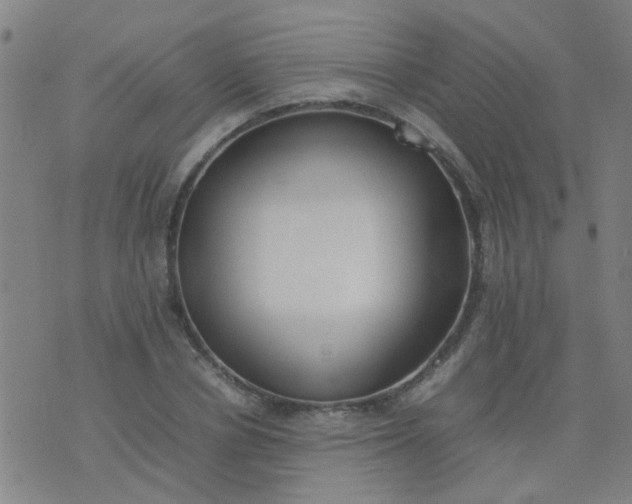 X0000074310834200609081940