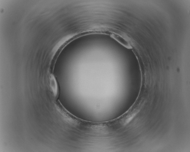 X0000074310838200609081940