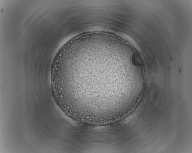 X0000074310839200609081940