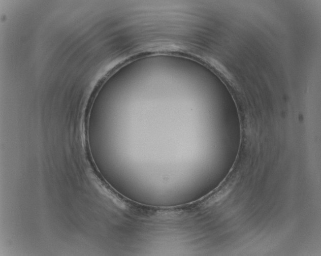 X0000074310840200609081940