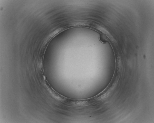 X0000074310841200609081940