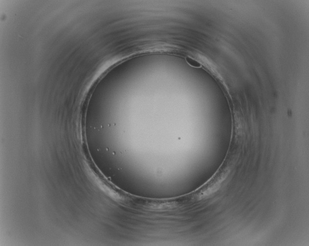 X0000074310843200609081940