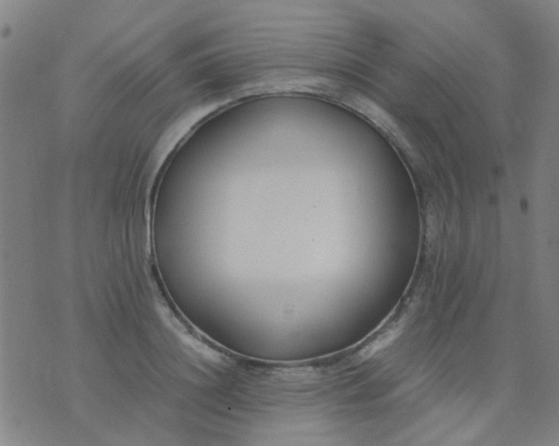 X0000074310844200609081940