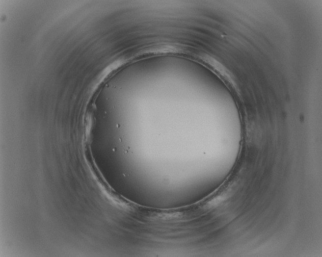 X0000074310845200609081940