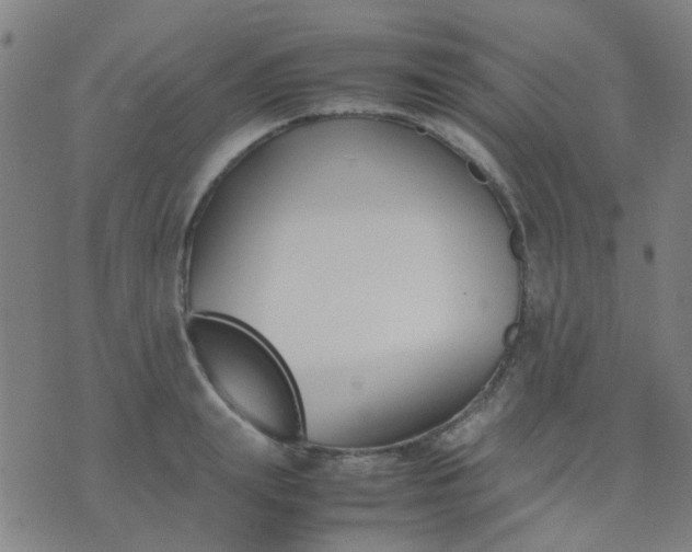 X0000074310847200609081940