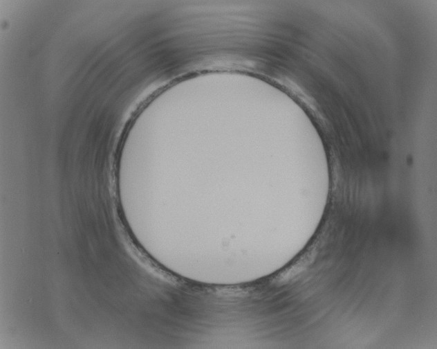 X0000074310848200609081940