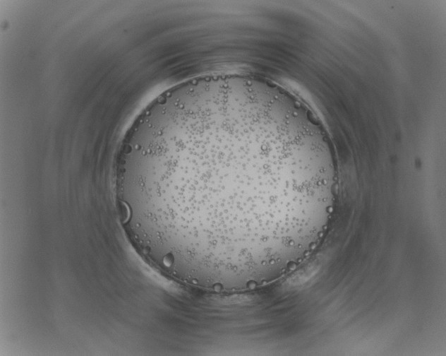 X0000074310851200609081940