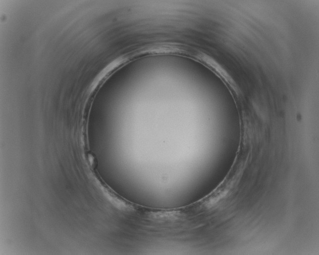 X0000074310853200609081940