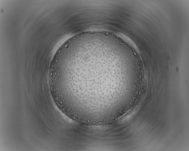 X0000074310855200609081940