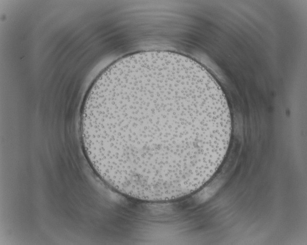 X0000074310856200609081940