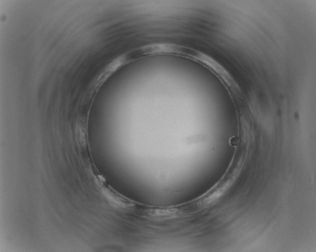 X0000074310857200609081940