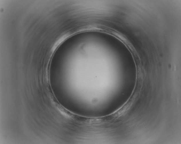 X0000074310858200609081940