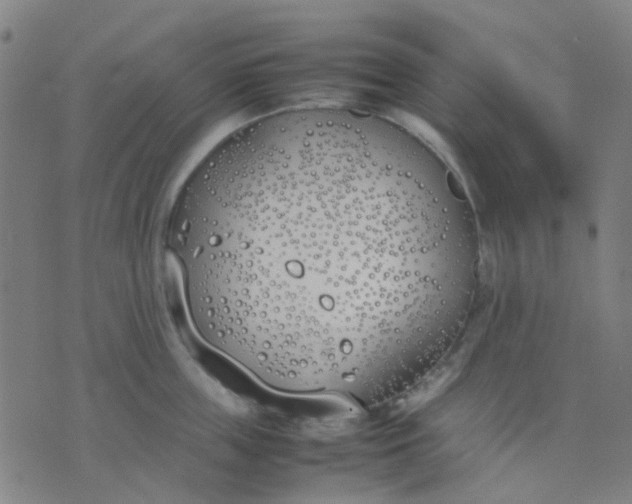 X0000074310859200609081940