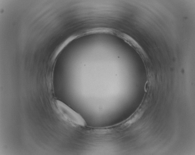 X0000074310860200609081940