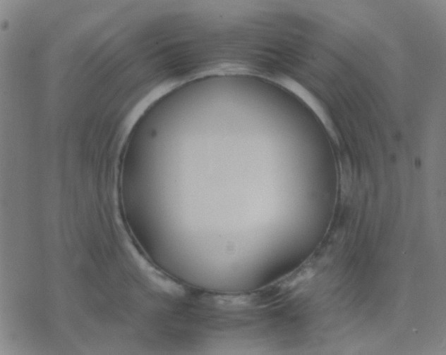 X0000074310861200609081940