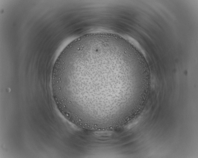 X0000074310863200609081940