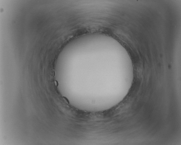 X0000074310865200609081940