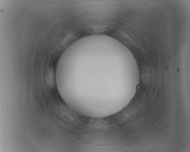 X0000074310866200609081940