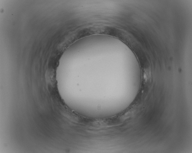 X0000074310867200609081940