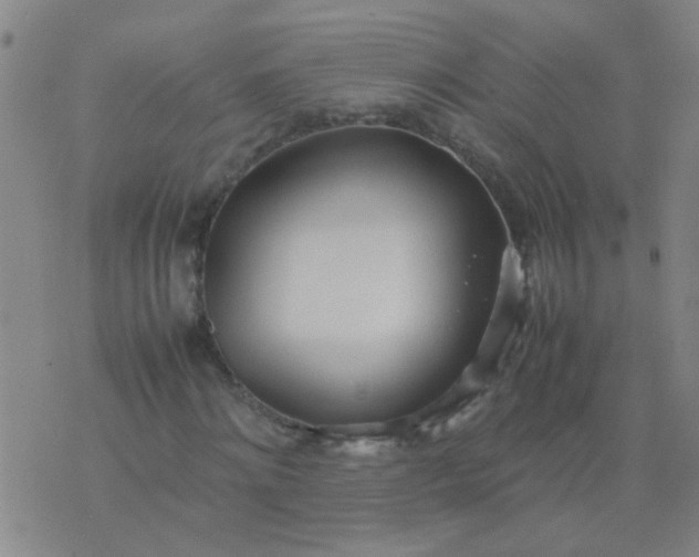 X0000074310868200609081940