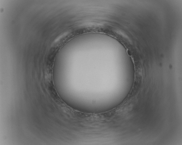 X0000074310869200609081940