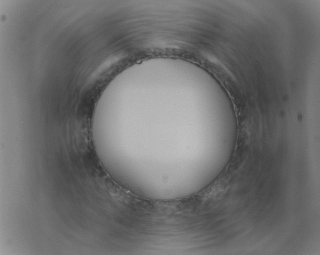 X0000074310870200609081940