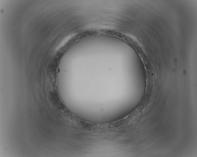 X0000074310871200609081940