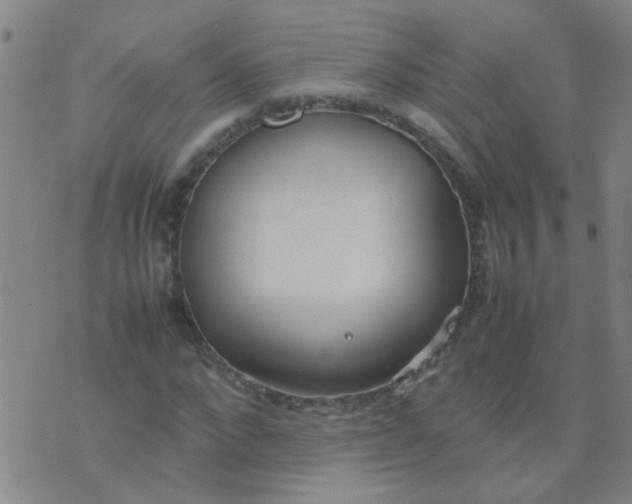 X0000074310872200609081939