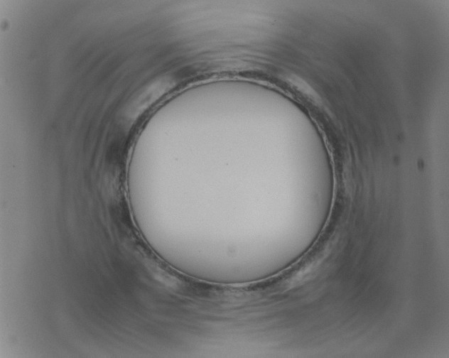 X0000074310873200609081939