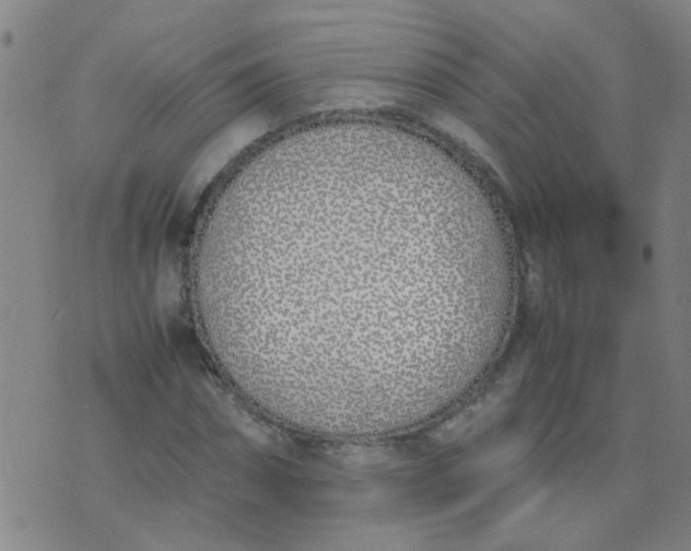 X0000074310874200609081939