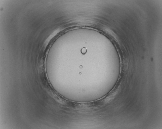 X0000074310875200609081939