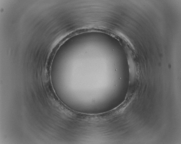 X0000074310876200609081939