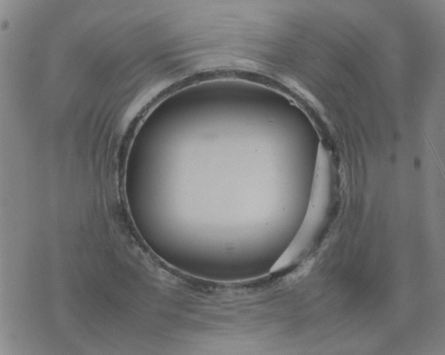 X0000074310877200609081939