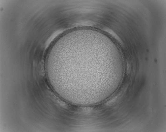 X0000074310878200609081939