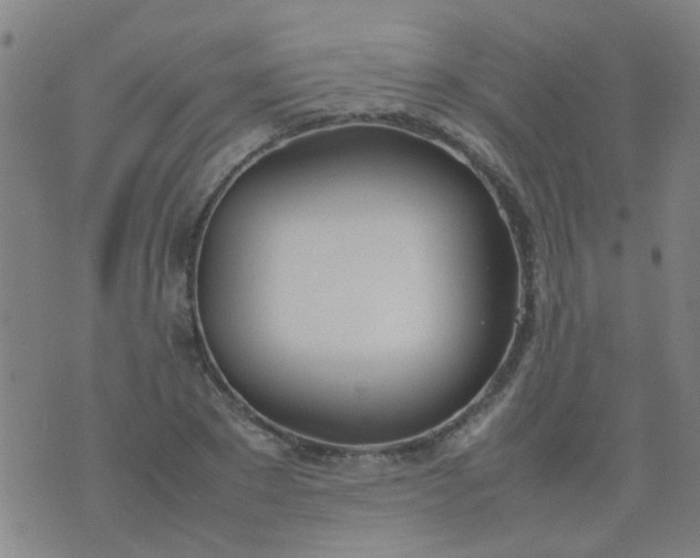 X0000074310881200609081939