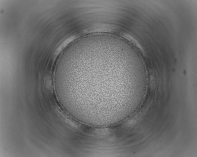 X0000074310882200609081939