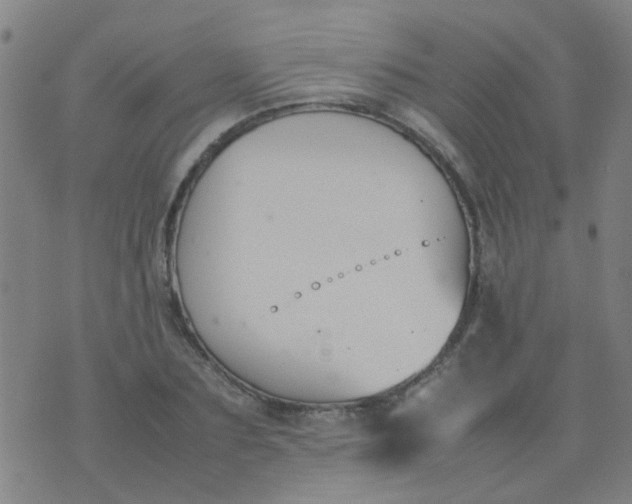 X0000074310883200609081939