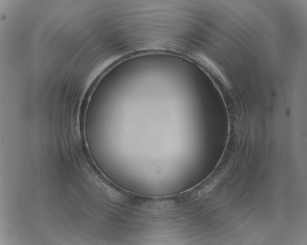 X0000074310884200609081939