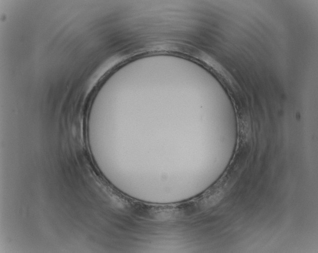 X0000074310886200609081939