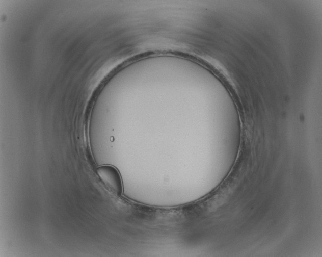 X0000074310887200609081939